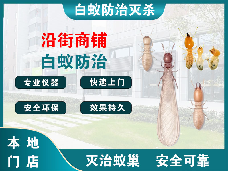 滨海沿街商铺白蚁防治
