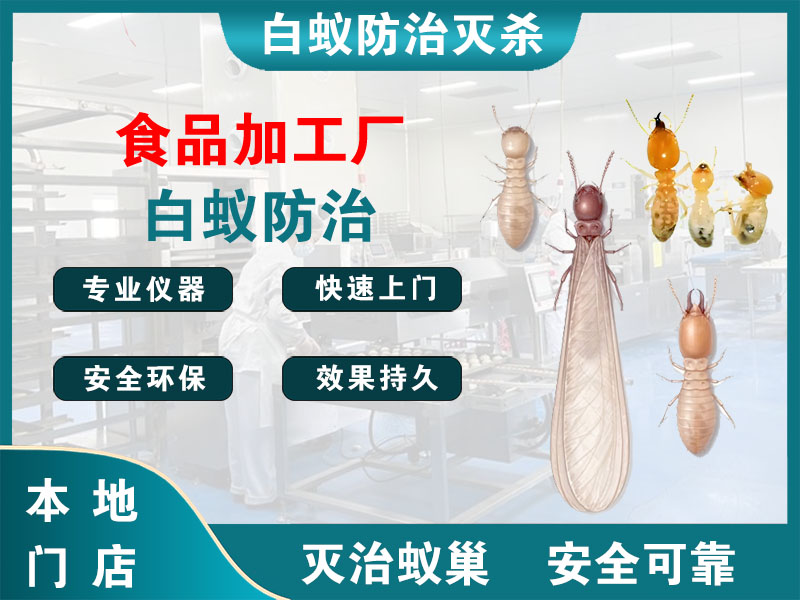 滨海食品加工厂白蚁防治