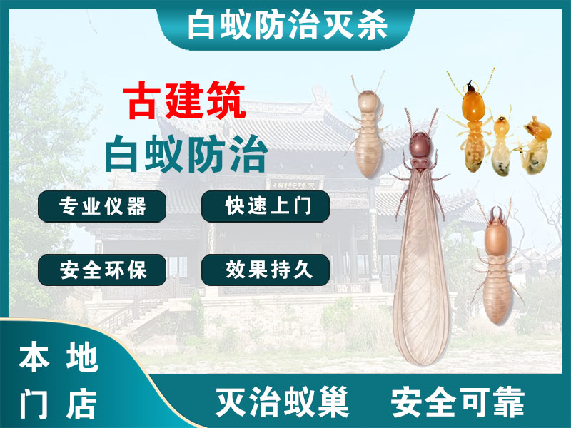 滨海古建筑白蚁防治