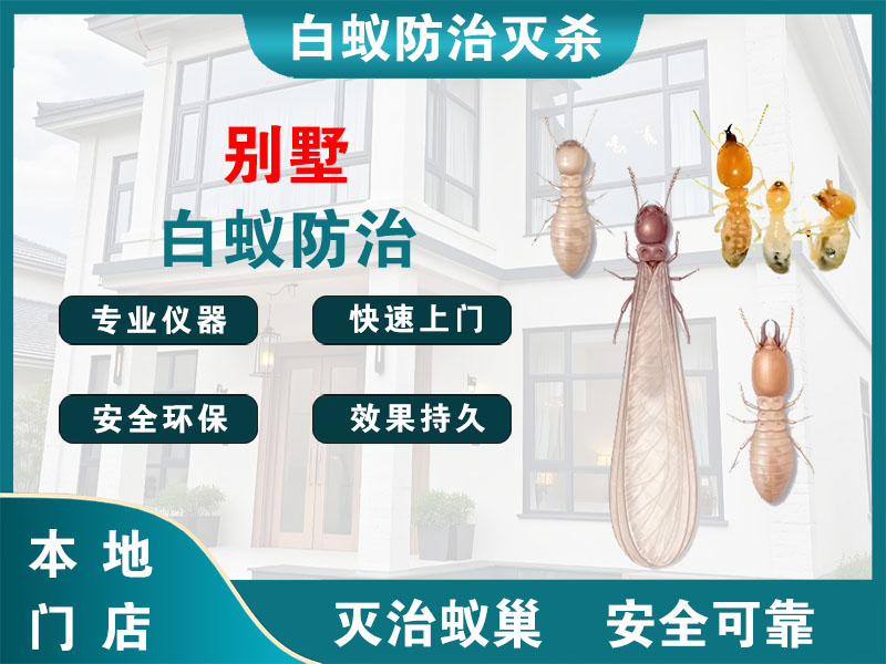滨海别墅白蚁防治
